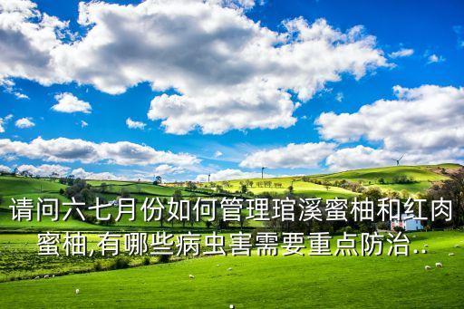 請(qǐng)問(wèn)六七月份如何管理琯溪蜜柚和紅肉蜜柚,有哪些病蟲(chóng)害需要重點(diǎn)防治...