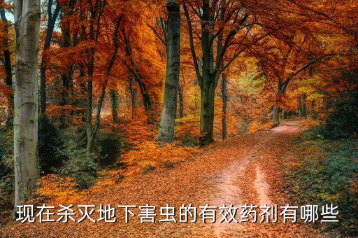 現在殺滅地下害蟲的有效藥劑有哪些