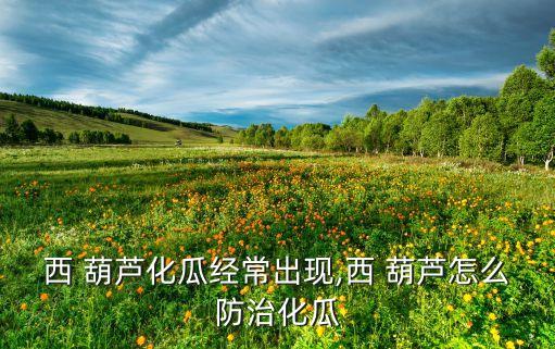 西 葫蘆化瓜經常出現,西 葫蘆怎么防治化瓜