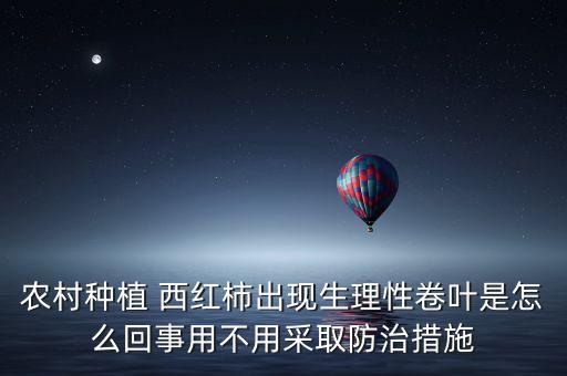 農村種植 西紅柿出現生理性卷葉是怎么回事用不用采取防治措施