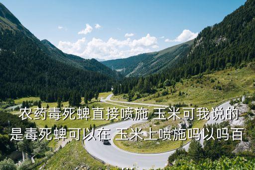 什么農(nóng)藥噴玉米長大個點,玉米治蟲用什么農(nóng)藥好
