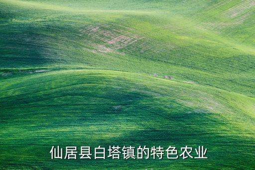  仙居縣白塔鎮(zhèn)的特色農(nóng)業(yè)