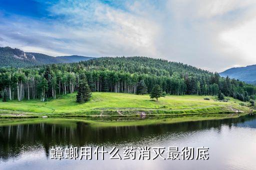  蟑螂用什么藥消滅最徹底