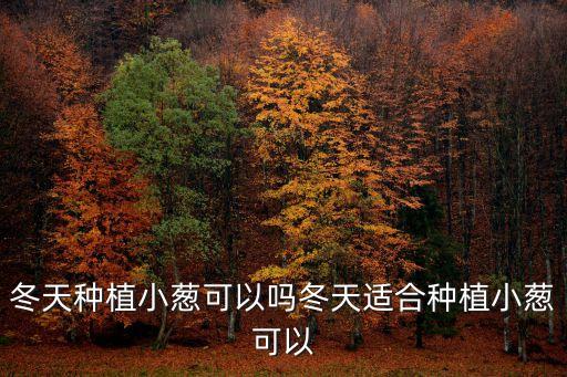 冬天種植小蔥可以嗎冬天適合種植小蔥可以