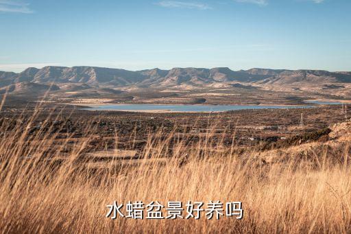 ,什么農藥殺水蠟