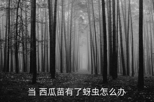 當 西瓜苗有了蚜蟲怎么辦