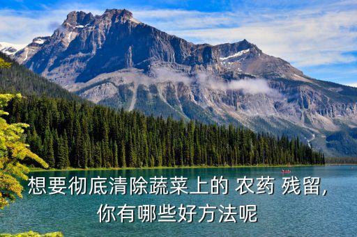 想要徹底清除蔬菜上的 農藥 殘留,你有哪些好方法呢