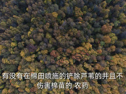 有沒有在棉田噴施的鏟除蘆葦的并且不傷害棉苗的 農藥