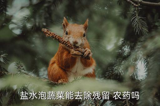 鹽水泡蔬菜能去除殘留 農(nóng)藥嗎