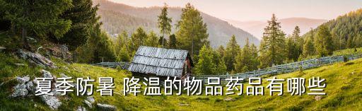夏季防暑 降溫的物品藥品有哪些