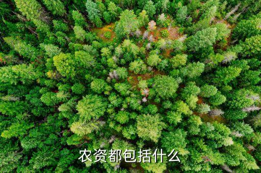 什么是農藥化肥,什么農藥化肥澆青菜曬干發光粘手