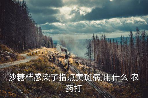 油柑葉黃噴什么農(nóng)藥
