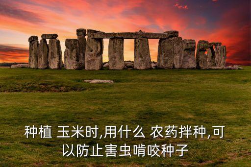 種植 玉米時,用什么 農(nóng)藥拌種,可以防止害蟲啃咬種子