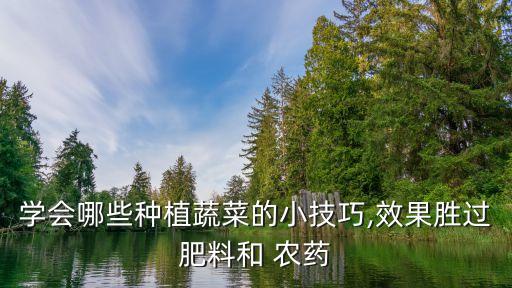 學會哪些種植蔬菜的小技巧,效果勝過肥料和 農(nóng)藥