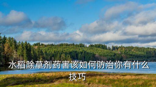 水稻農(nóng)藥使用注意什么意思