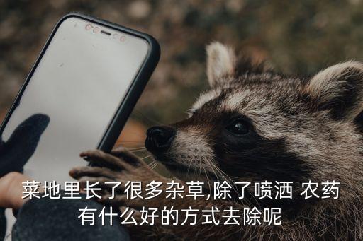 菜園用什么代替農(nóng)藥,敵敵畏被什么農(nóng)藥代替了