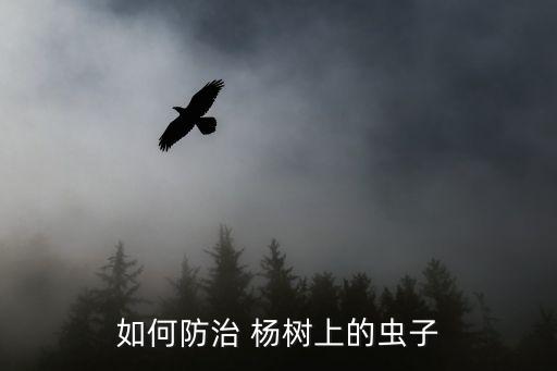 如何防治 楊樹上的蟲子