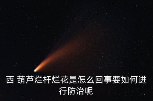 葫蘆爛臍用什么農(nóng)藥,葫蘆用什么農(nóng)藥好