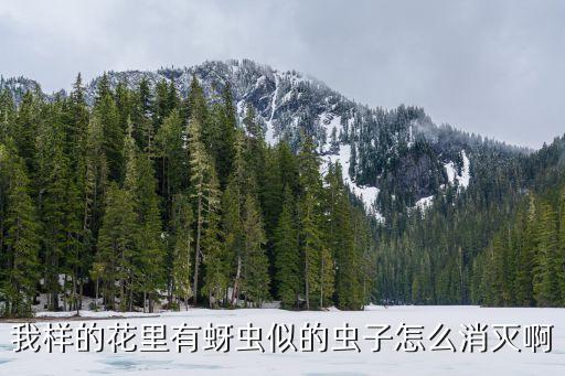 我樣的花里有蚜蟲似的蟲子怎么消滅啊