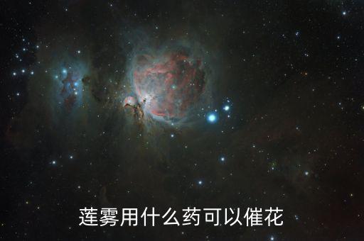 蓮霧果有蟲噴什么農藥
