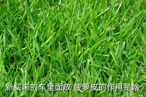 新買來的車里面放 菠蘿皮的作用是啥