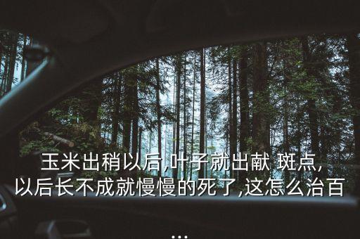 玉米上的斑點用什么農藥,玉米一般打什么農藥