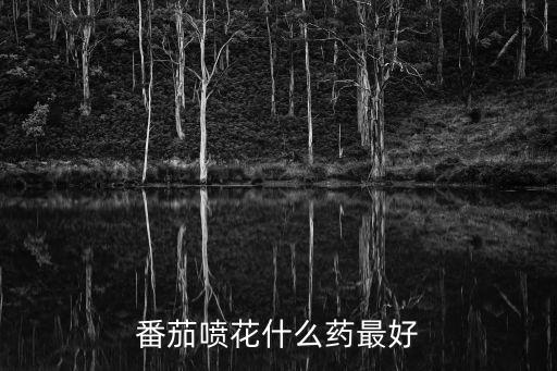 番茄噴花什么藥最好