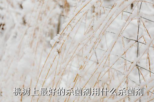  桃樹上最好的殺菌劑用什么殺菌劑