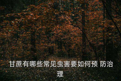  甘蔗有哪些常見蟲害要如何預 防治理