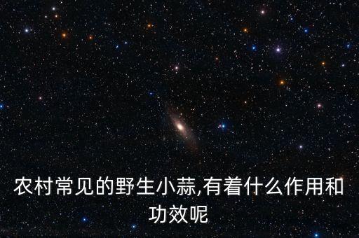 農(nóng)村常見(jiàn)的野生小蒜,有著什么作用和功效呢