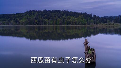 ,西瓜上芽蟲噴什么農(nóng)藥
