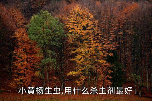 小黃楊生蟲,用什么殺蟲劑最好