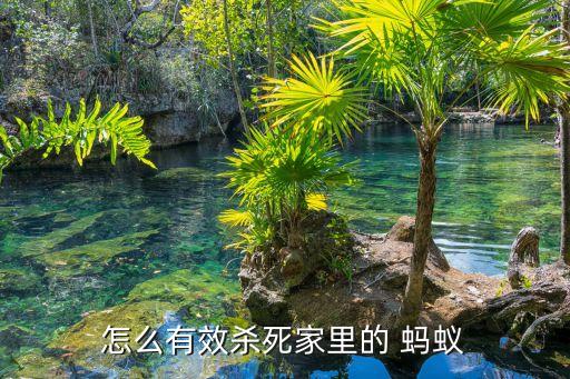 螞蟻用什么農(nóng)藥噴死,殺樹上的螞蟻用啥農(nóng)藥滅死