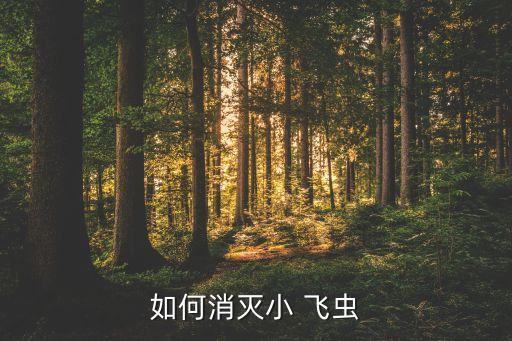 什么農藥殺小飛蟲效果最好,殺小飛蟲用什么農藥