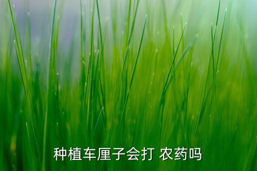 種植車厘子會打 農藥嗎