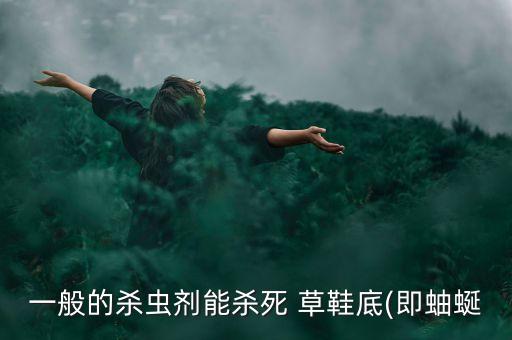 一般的殺蟲劑能殺死 草鞋底(即蚰蜒