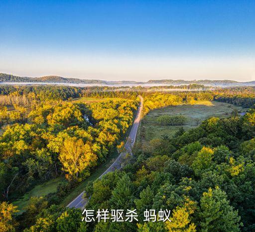 撲殺螞蟻用什么農藥