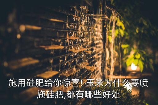施用硅肥給你驚喜! 玉米為什么要噴施硅肥,都有哪些好處