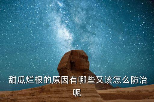  甜瓜爛根的原因有哪些又該怎么防治呢