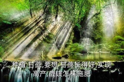 種甘蔗用什么農(nóng)藥最好,甘蔗打什么農(nóng)藥長得快