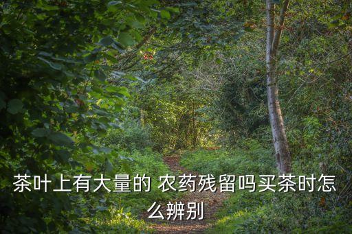 茶葉上有大量的 農藥殘留嗎買茶時怎么辨別