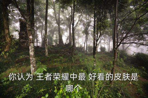 你認為 王者榮耀中最 好看的皮膚是哪個