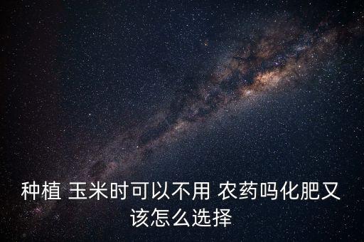 玉米后期要不要打什么農藥