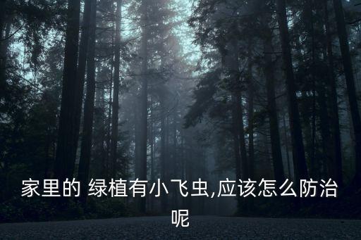 家里的 綠植有小飛蟲,應該怎么防治呢