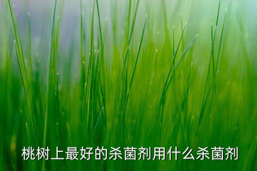 七月桃樹打什么農藥,桃樹害蟲用什么農藥