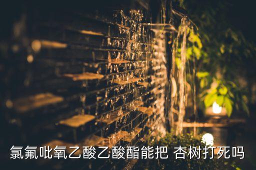 氯氟吡氧乙酸乙酸酯能把 杏樹打死嗎