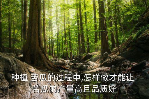 種植 苦瓜的過程中,怎樣做才能讓 苦瓜的產(chǎn)量高且品質(zhì)好