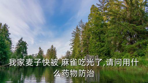 我家麥子快被 麻雀吃光了,請(qǐng)問(wèn)用什么藥物防治