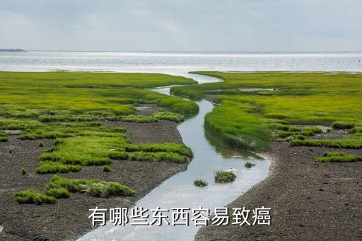 有哪些東西容易致癌