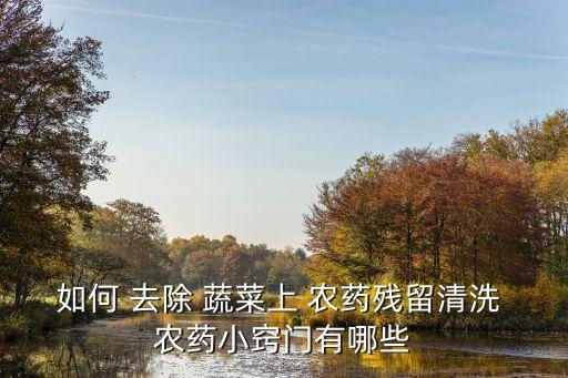 如何 去除 蔬菜上 農藥殘留清洗 農藥小竅門有哪些